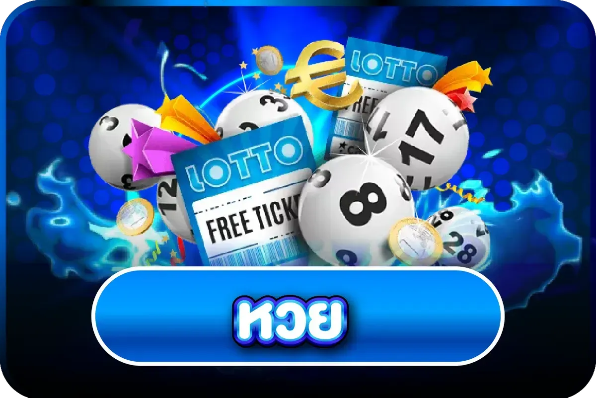 หมวดหวยออนไลน์และเช็คผลหวยผ่าน 168HIPPO